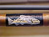 20female_browntrout_5.jpg