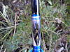 DSCN0618.JPG