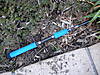 DSCN0631.JPG
