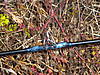 DSCN0633.JPG