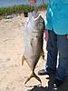 fish5-5-10.jpg