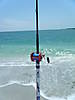 fish_070.JPG