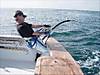 23Dennis_Braid_Bluefin.jpg