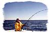41Cousin_s_fish1.jpg