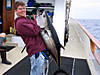 599Bluefin.jpg