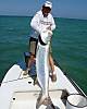 61110lb_CraigKeyTarpon768x960_96_96.jpg