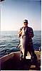 847Dave_Babineau_1.JPG