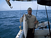 Kingfish.gif
