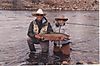 295steelhead_2004.bmp