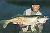 680zander3.JPG