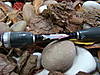 DSC000711.JPG