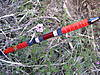DSCN0899.JPG