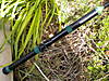 DSCN0997.JPG