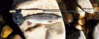 3642wt_stew_rod.gif