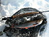 442DSCN3015.JPG