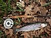 442DSCN5266.jpg