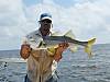 539steve-snook.jpg