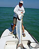 61110lbCraigKeyTarponOnAustin10-11in21min.jpg