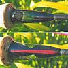 Swelled_butt_feather_inlay.JPG