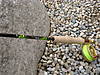 Rod_pictures_007.jpg
