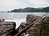 Roosterfish_Rod.jpg