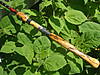 DSCF3991.JPG