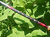 DSCF3993.JPG