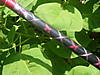 DSCF3997.JPG