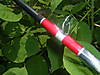 DSCF4001.JPG