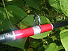 DSCF4003.JPG