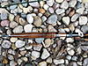 DSCN1313.JPG