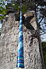 SDC13153.JPG
