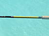DSCF0241.JPG